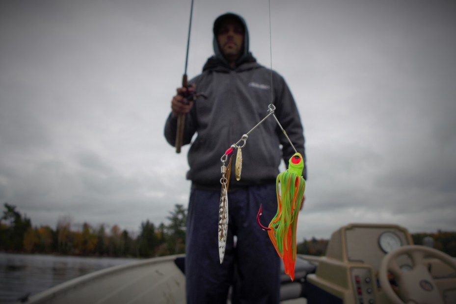 The pike were chomping up the spinner baits