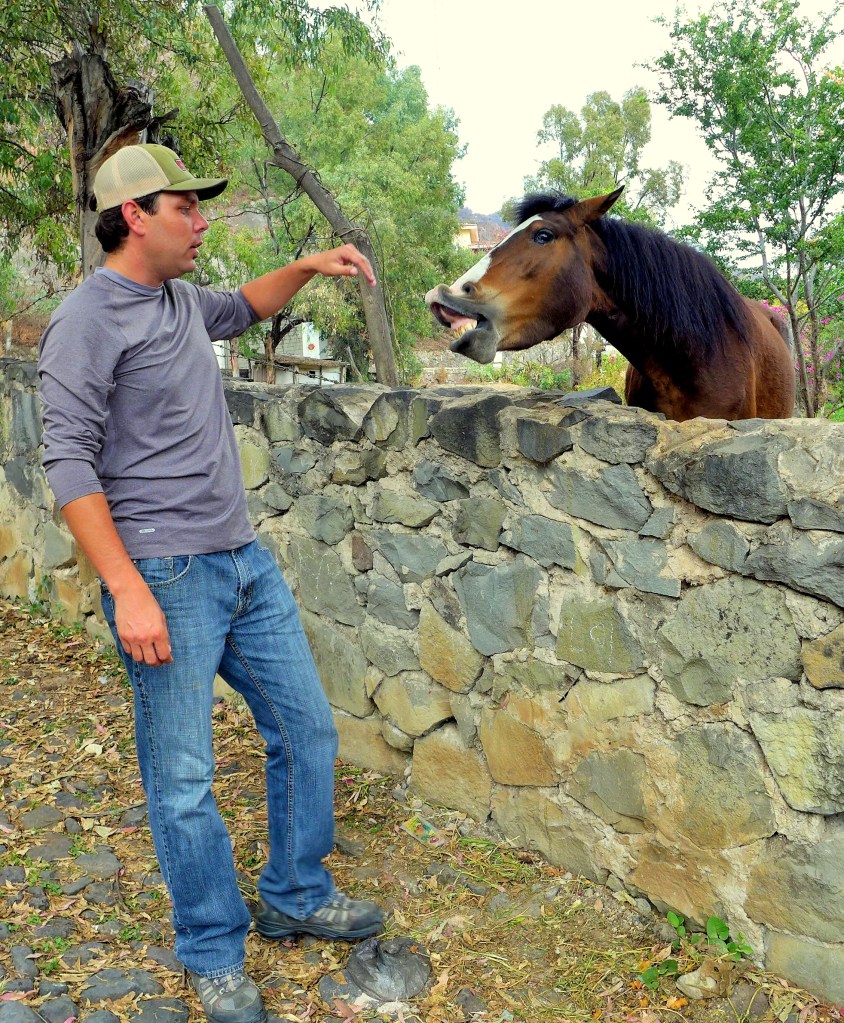 easy fella I'm not a carrot 