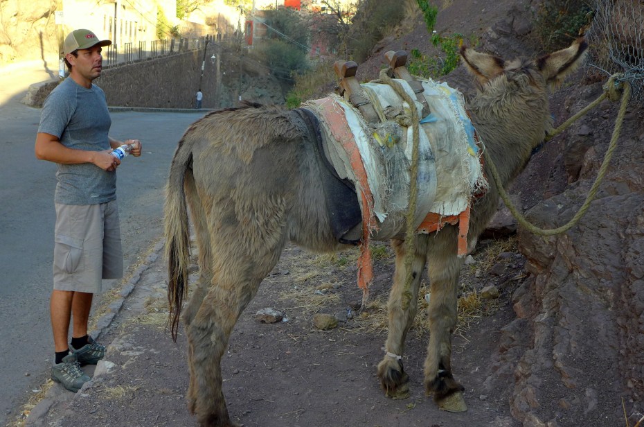 I'm always trying to make new friends