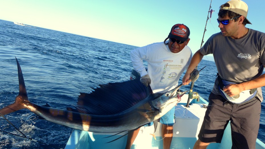 here fella let us save you from drowning