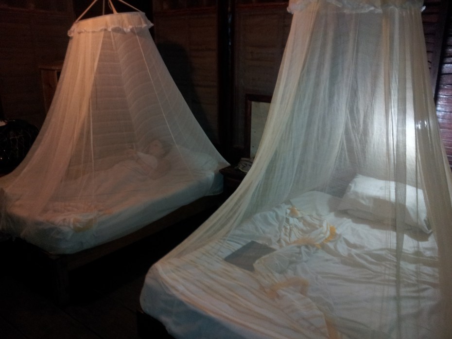 sleeping beauty waiting for her pest