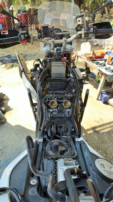 Blanco at his doctors appointment 