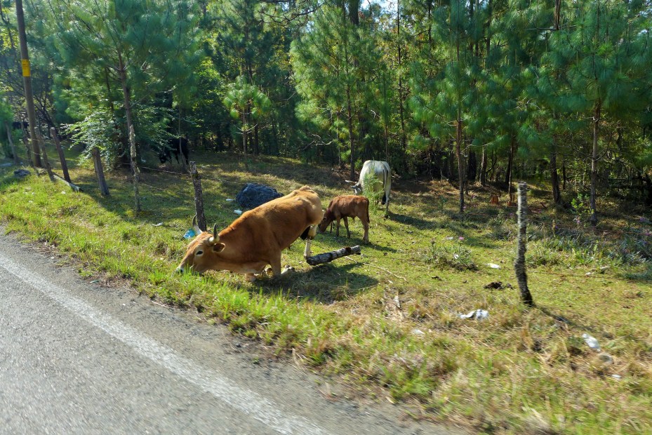 The vehicles coming behind us might be in for a surprise.