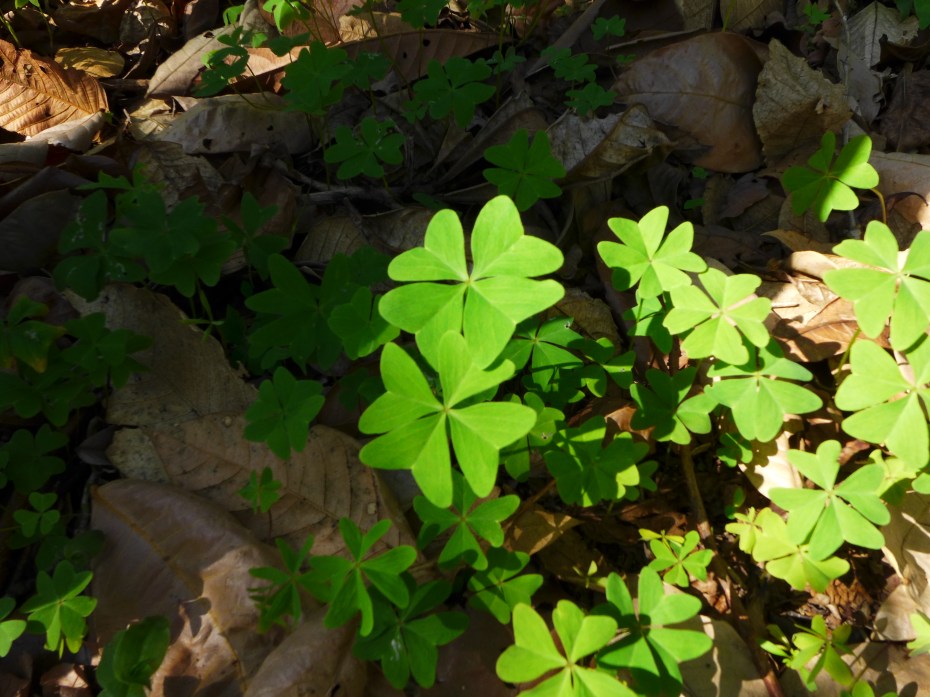 Jenn was feeling lucky today