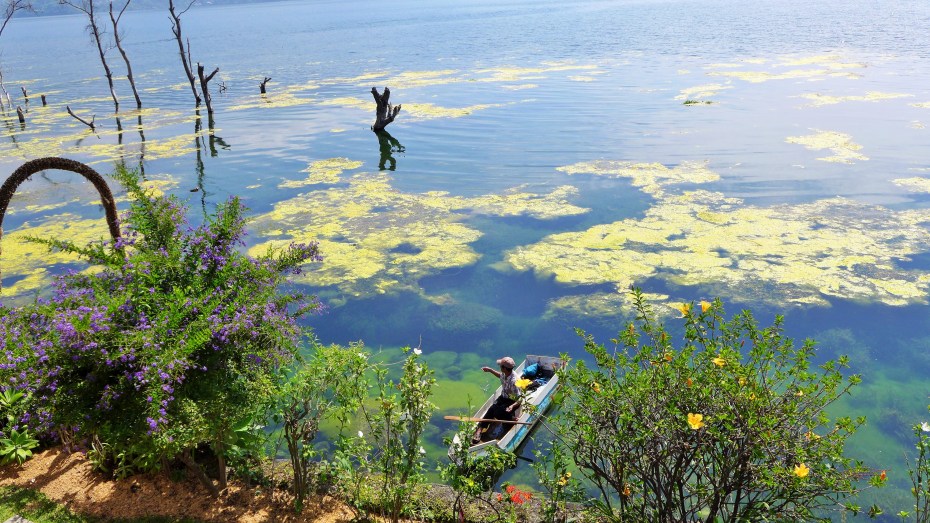 should have asked this guy for some pointers