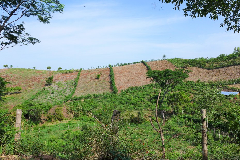 farm lands dot the hillsides 