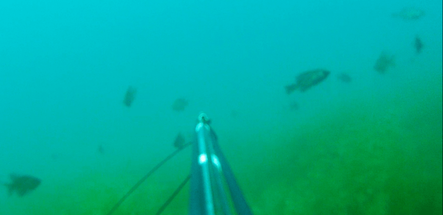 View from down under with Jose