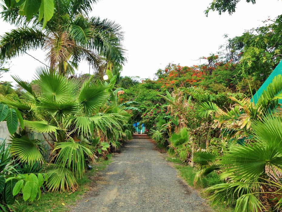 beach road from our hotel to the playa