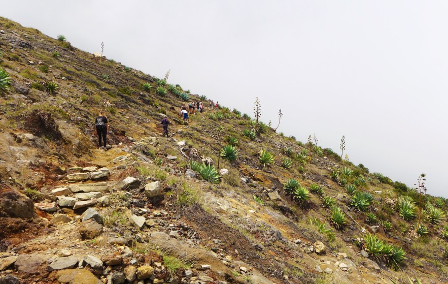 nearing the top of Santa Ana