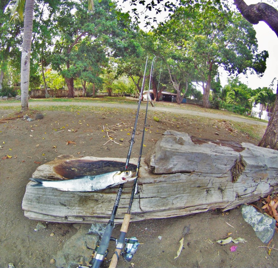 taking this one home for dinner