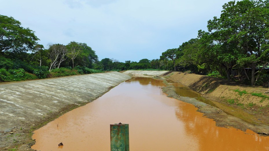 waiting patiently for the next downpour