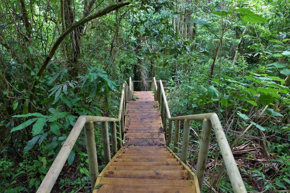 stairs led down to the beach