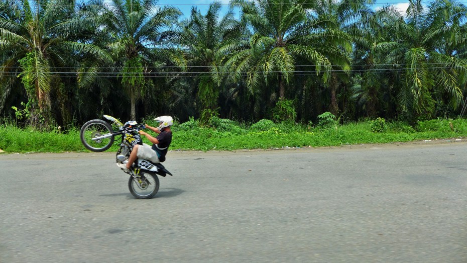 showing off for my lady