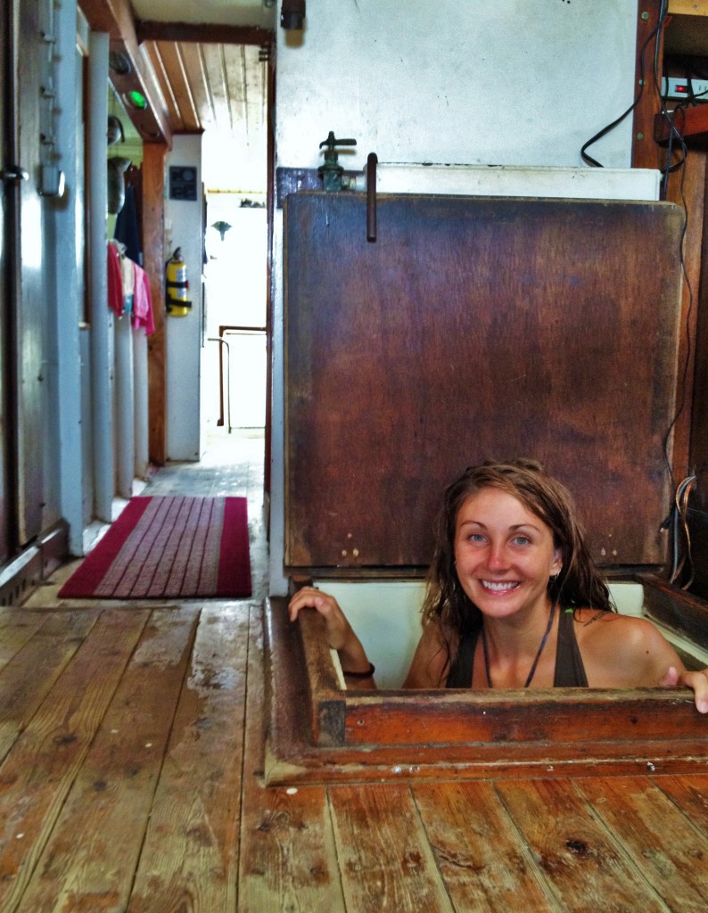 Rrrrrrr down the hole with the rats be ya! Rrrrrr