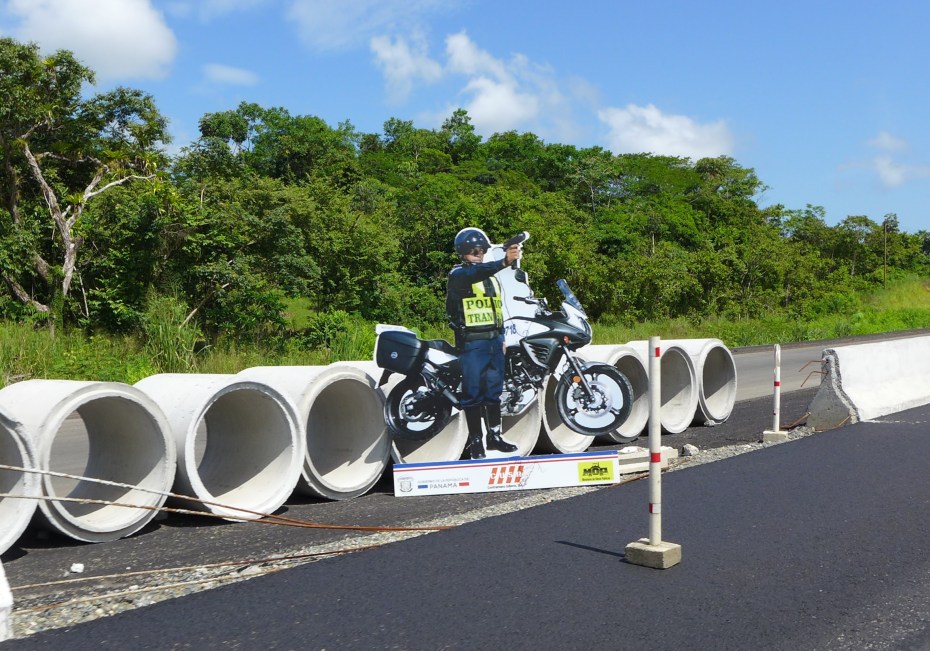 this guy would have hurt my wallet if he was real