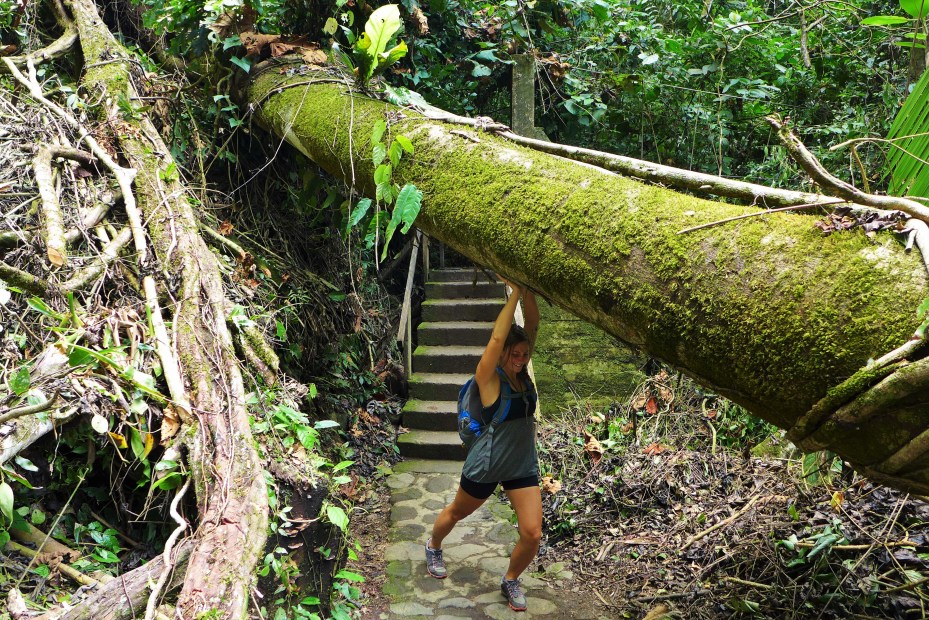 easy hurk don't chip a nail