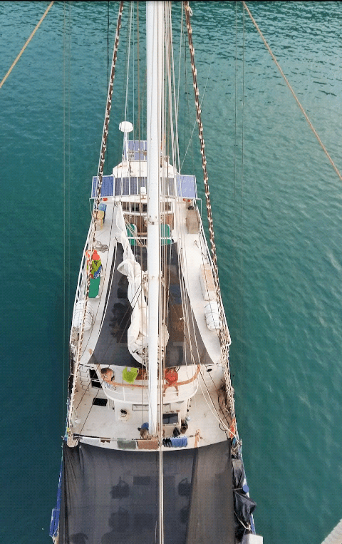 view from the crowsnest