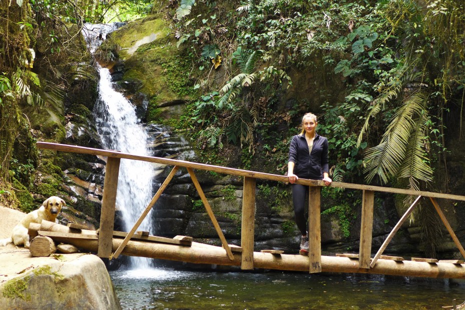 nice local waterfall