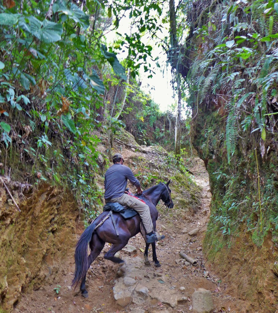 still struggling to find the throttle and clutch