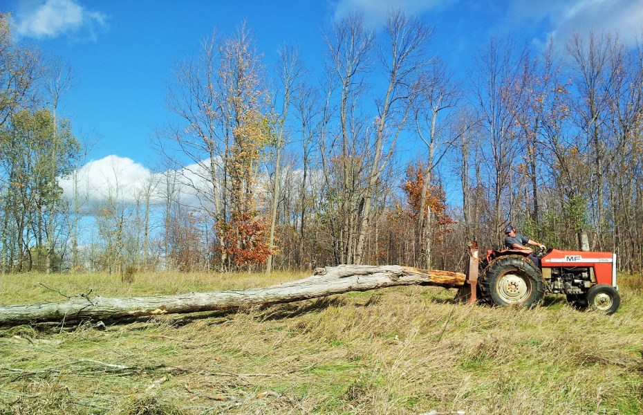 Joe pulling logs with his big boy toys