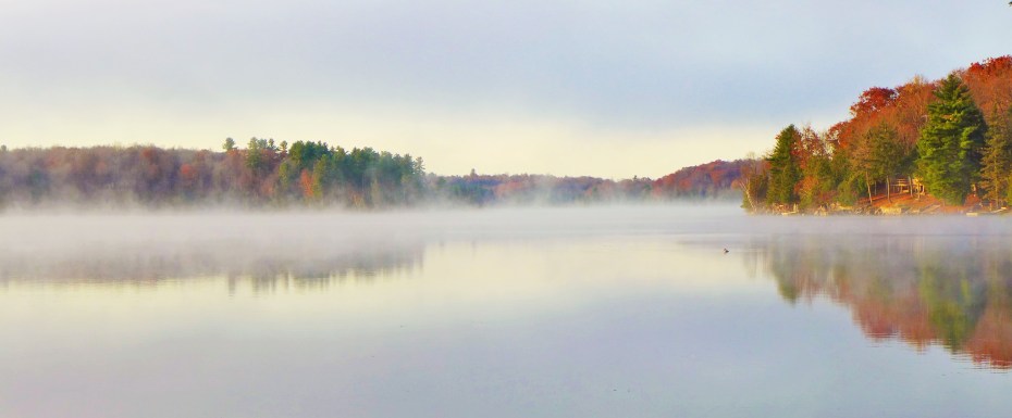 cold mornings, warm waters
