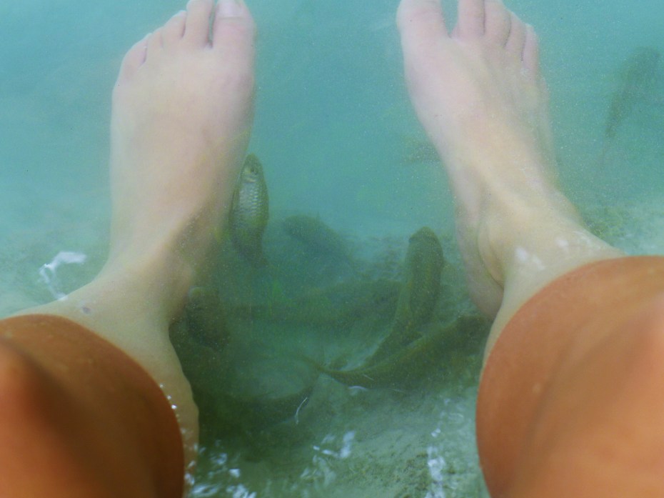 tickle tickle tickle... num num num...