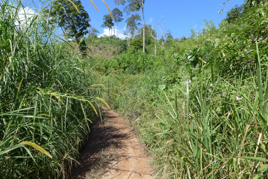 starting to get tight back here