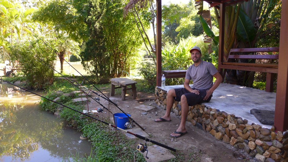 bring on the Asian fishies!