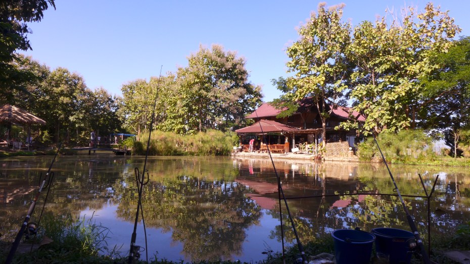 Piranha park pond fishing