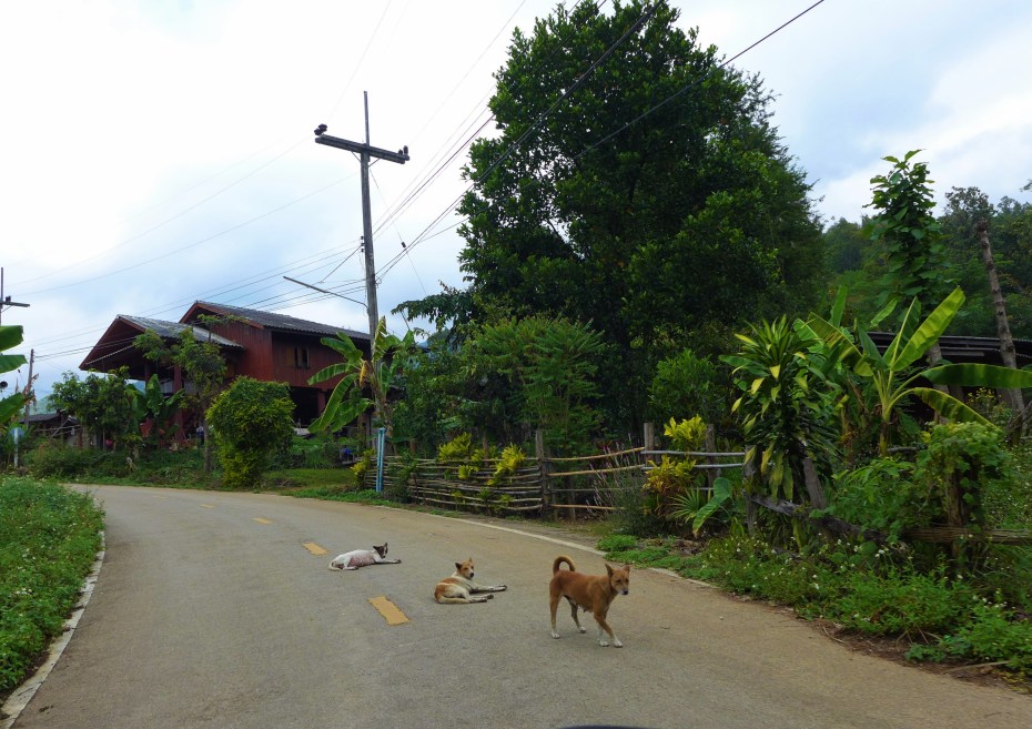 don't get up on our account fellas!