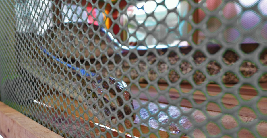 pretty sure he wanted to squeeze the shit out of me for taking his picture one too many times