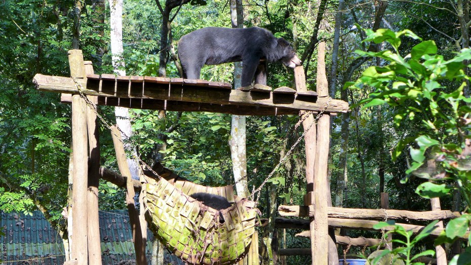 glad I'm not wearing this coat in the 35c+ heat