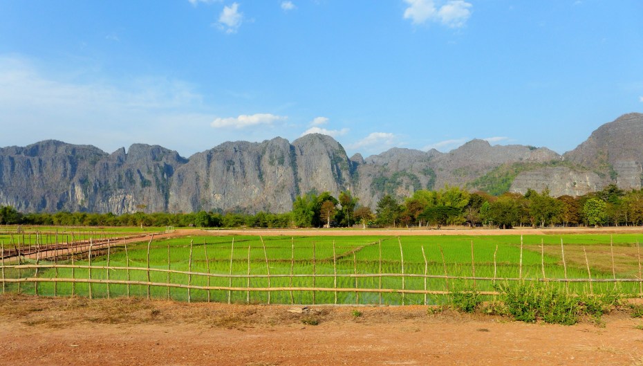 Rice paddies just outside of Konglor