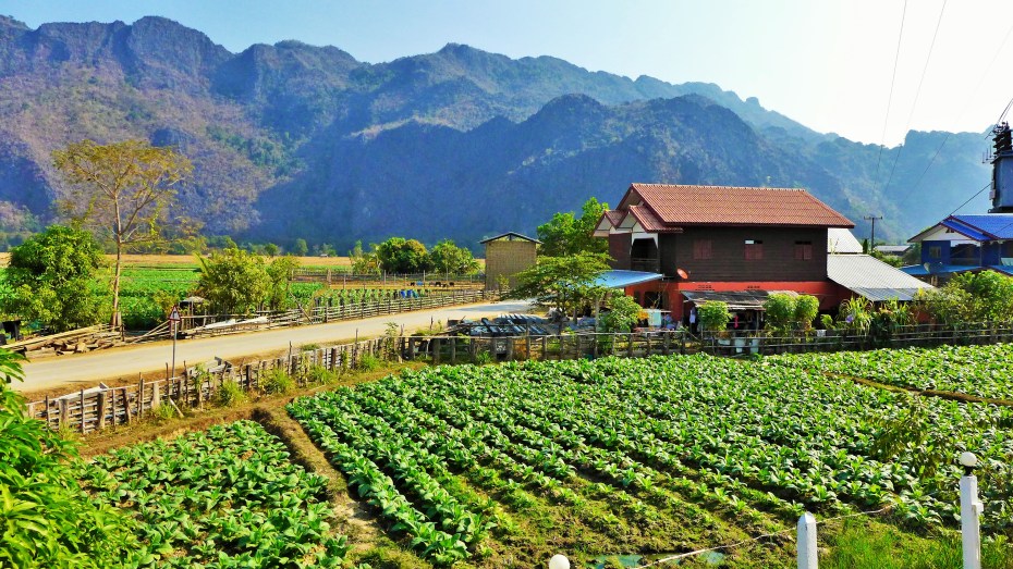 Konglor town built amongst the tobacco fields