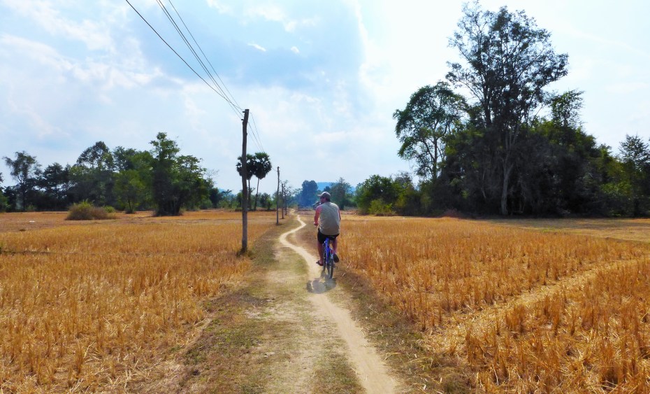 Pedaling through the dry rice paddies around Don Det