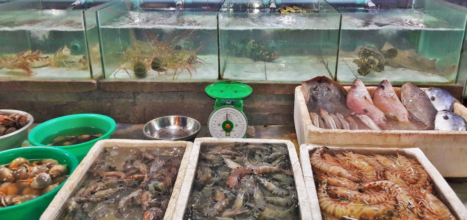 can't get fresher then this