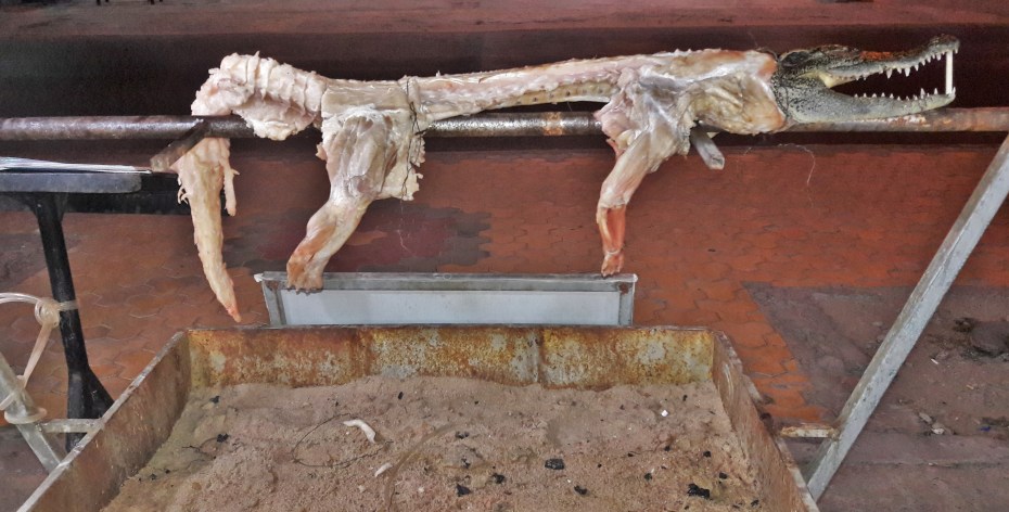 Picked to the bone...must have been tasty..