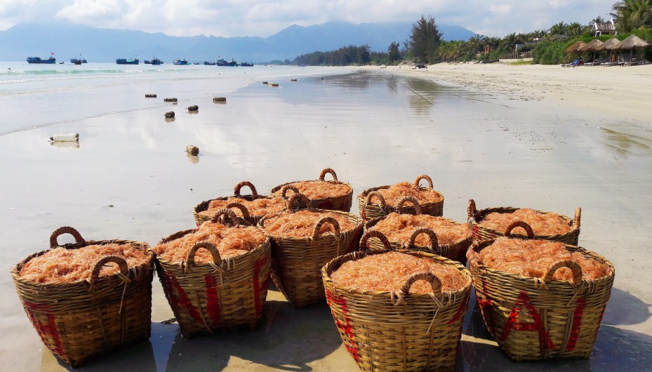 millions of tiny Krill in each basket