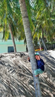 friendly grounds keeper heading up to pick coconuts